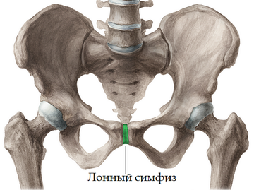 https://upforme.ru/uploads/001b/a3/de/2/t187747.png