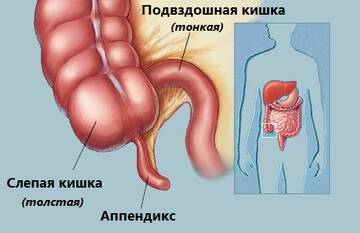 https://upforme.ru/uploads/001b/a3/de/2/t189999.jpg