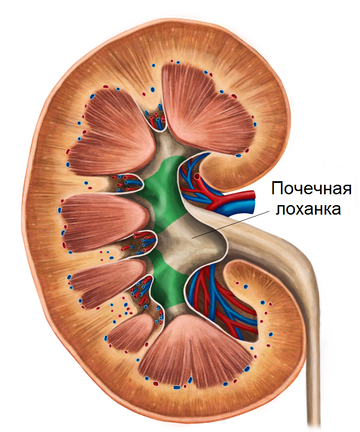 https://upforme.ru/uploads/001b/a3/de/2/t267871.png