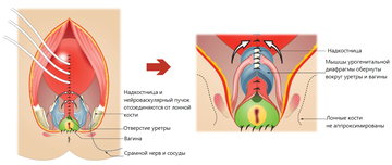 https://upforme.ru/uploads/001b/a3/de/2/t326078.png