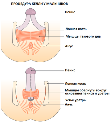 https://upforme.ru/uploads/001b/a3/de/2/t336705.png