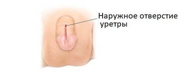 https://upforme.ru/uploads/001b/a3/de/2/t407338.jpg