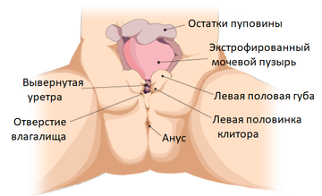https://upforme.ru/uploads/001b/a3/de/2/t443948.png