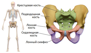 https://upforme.ru/uploads/001b/a3/de/2/t446413.png
