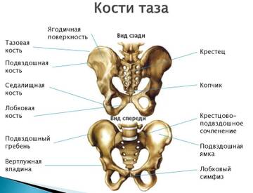https://upforme.ru/uploads/001b/a3/de/2/t452328.jpg