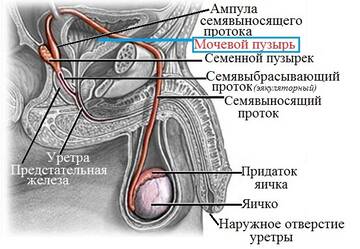 https://upforme.ru/uploads/001b/a3/de/2/t465697.jpg