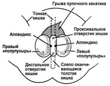 https://upforme.ru/uploads/001b/a3/de/2/t508130.jpg