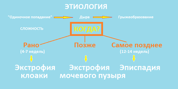 https://upforme.ru/uploads/001b/a3/de/2/t50976.png