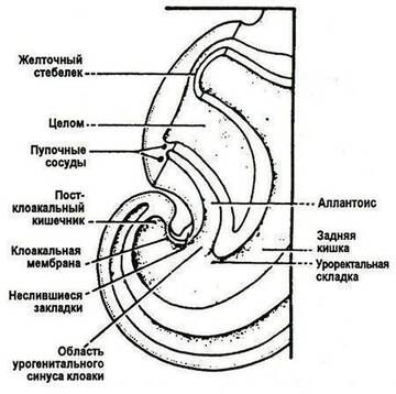 https://upforme.ru/uploads/001b/a3/de/2/t525918.jpg