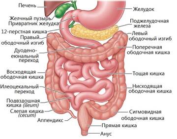 https://upforme.ru/uploads/001b/a3/de/2/t527181.jpg