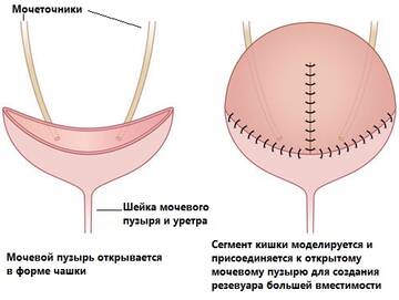 https://upforme.ru/uploads/001b/a3/de/2/t559090.jpg