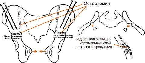 https://upforme.ru/uploads/001b/a3/de/2/t607754.png