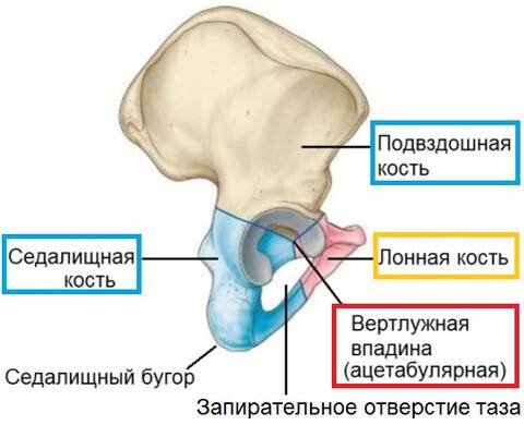 https://upforme.ru/uploads/001b/a3/de/2/t639048.jpg