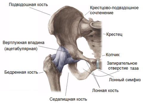 https://upforme.ru/uploads/001b/a3/de/2/t64318.png