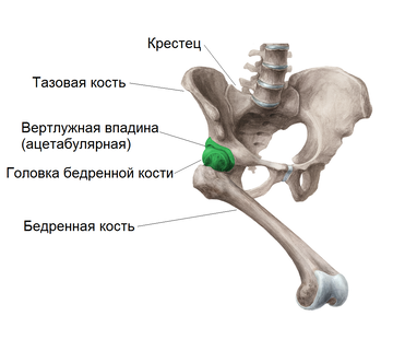 https://upforme.ru/uploads/001b/a3/de/2/t660529.png