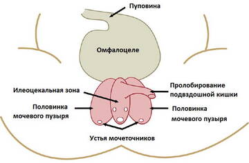 https://upforme.ru/uploads/001b/a3/de/2/t683830.jpg