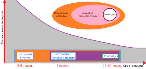 https://upforme.ru/uploads/001b/a3/de/2/t740108.png