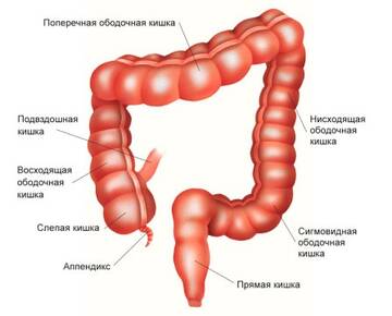 https://upforme.ru/uploads/001b/a3/de/2/t788331.jpg