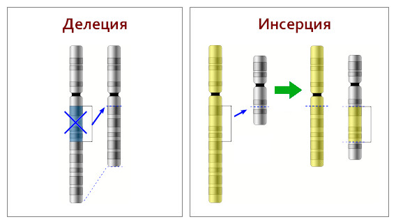 https://upforme.ru/uploads/001b/a3/de/2/t811702.jpg