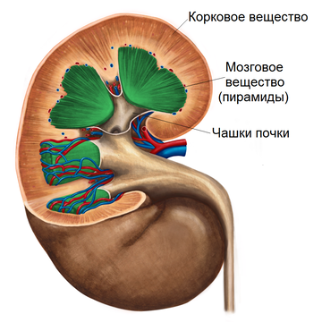 https://upforme.ru/uploads/001b/a3/de/2/t823190.png