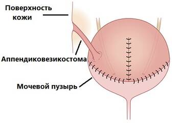 https://upforme.ru/uploads/001b/a3/de/2/t831947.jpg
