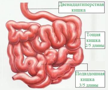 https://upforme.ru/uploads/001b/a3/de/2/t844020.jpg