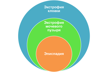 https://upforme.ru/uploads/001b/a3/de/2/t859007.png