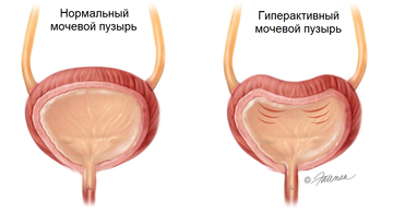 https://upforme.ru/uploads/001b/a3/de/2/t937980.png