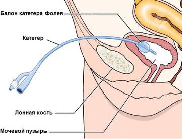 https://upforme.ru/uploads/001b/a3/de/2/t955100.jpg