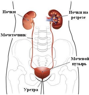 https://upforme.ru/uploads/001b/a3/de/2/t959195.jpg