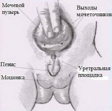 https://upforme.ru/uploads/001b/a3/de/2/t992686.jpg