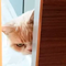 https://upforme.ru/uploads/001b/a5/3f/6/t203052.png
