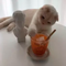 https://upforme.ru/uploads/001b/a5/3f/6/t381403.png