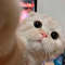 https://upforme.ru/uploads/001b/a5/3f/6/t595345.png