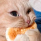 https://upforme.ru/uploads/001b/a5/3f/6/t636684.png