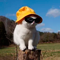 https://upforme.ru/uploads/001b/a5/3f/6/t735340.png