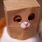 https://upforme.ru/uploads/001b/a5/3f/6/t971480.png