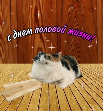 https://upforme.ru/uploads/001b/a7/a2/10/t366076.jpg