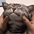 https://upforme.ru/uploads/001b/ad/0b/5/165367.gif