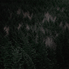 https://upforme.ru/uploads/001b/ad/ff/2/535840.gif