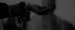 https://upforme.ru/uploads/001b/af/a2/2/158362.gif
