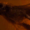 https://upforme.ru/uploads/001b/b1/34/4/291307.gif