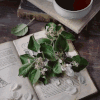 https://upforme.ru/uploads/001b/b1/34/4/470589.gif