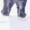 https://upforme.ru/uploads/001b/b1/34/4/540674.gif
