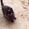 https://upforme.ru/uploads/001b/b1/34/4/849839.gif