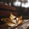 https://upforme.ru/uploads/001b/b1/34/4/t868130.gif