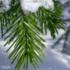 https://upforme.ru/uploads/001b/b1/34/4/t935119.gif