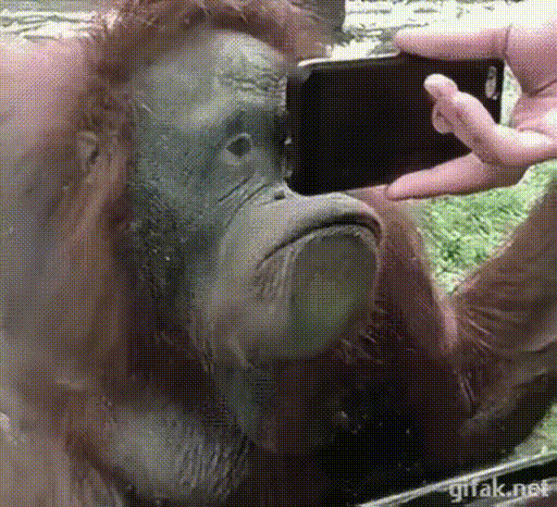 https://upforme.ru/uploads/001b/b1/c5/61/710344.gif