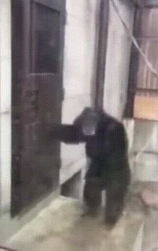https://upforme.ru/uploads/001b/b1/c5/61/t529792.gif
