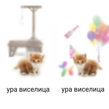 https://upforme.ru/uploads/001b/b2/99/2205/t826962.jpg